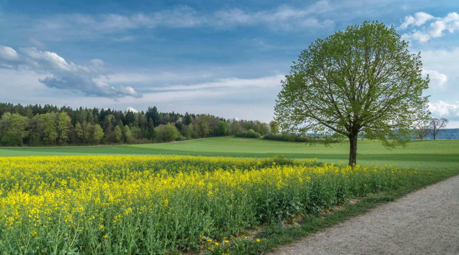 Top-Autovermietungsoptionen in Opfikon